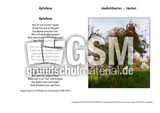 Äpfellese-Fallersleben.pdf